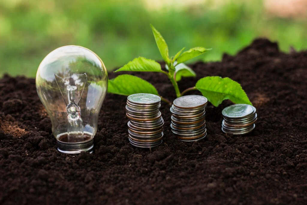 Planejamento Financeiro para Investimentos em Energia Renovável: como garantir viabilidade e retorno